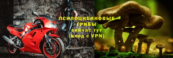 СК Армянск
